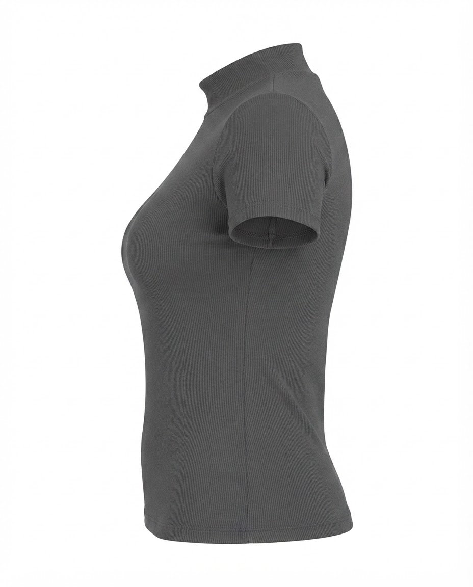 Blusa gola alta manga três por quatro inverno malha ribana - Chumbo